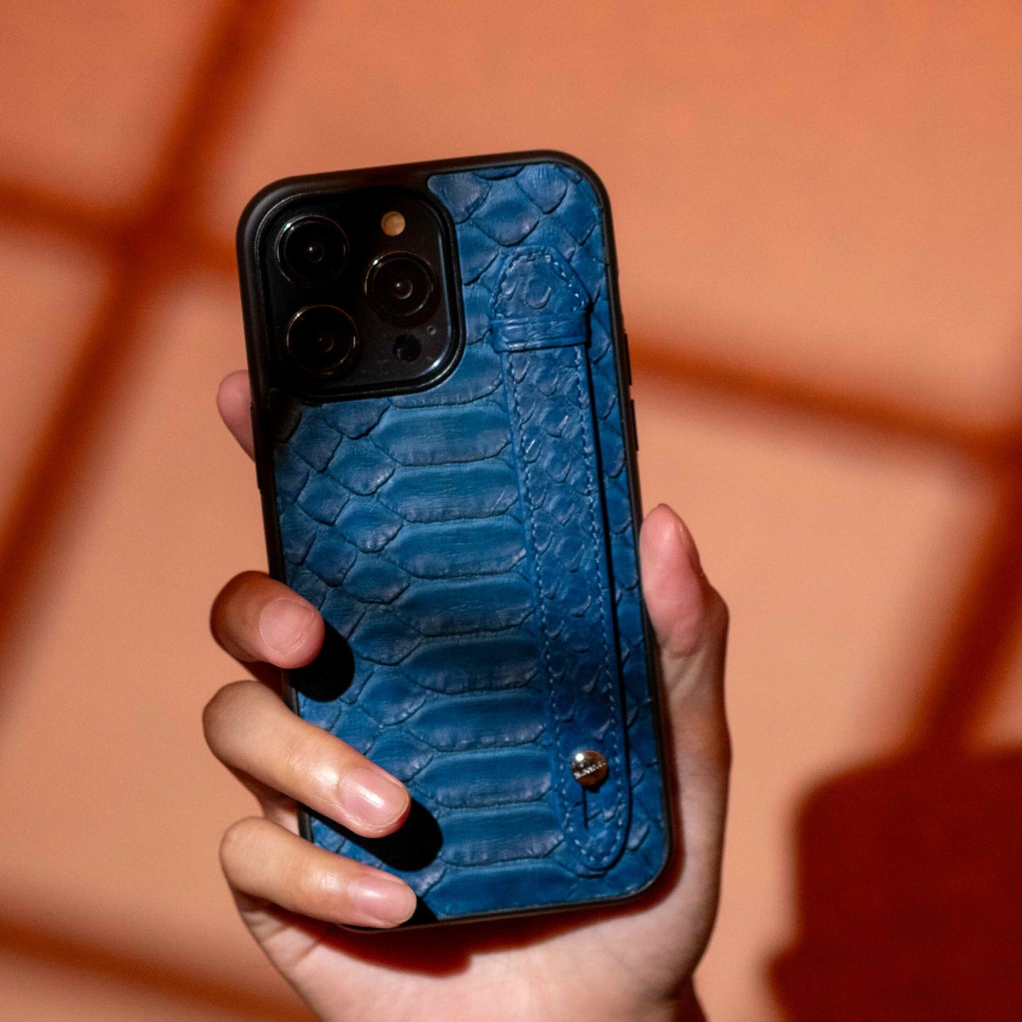 Blue - iPhone 14 pro mobile case Python